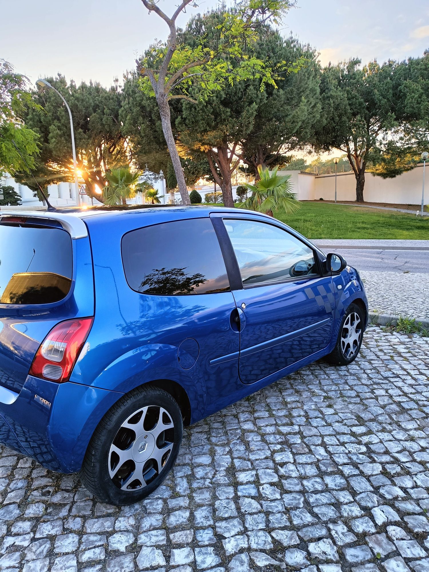 Caro Renault Twingo 2007