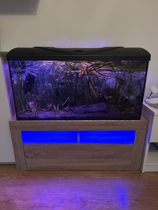 Akwarium 120 litrów - pełny zestaw z życiem i całym wyposażeniem