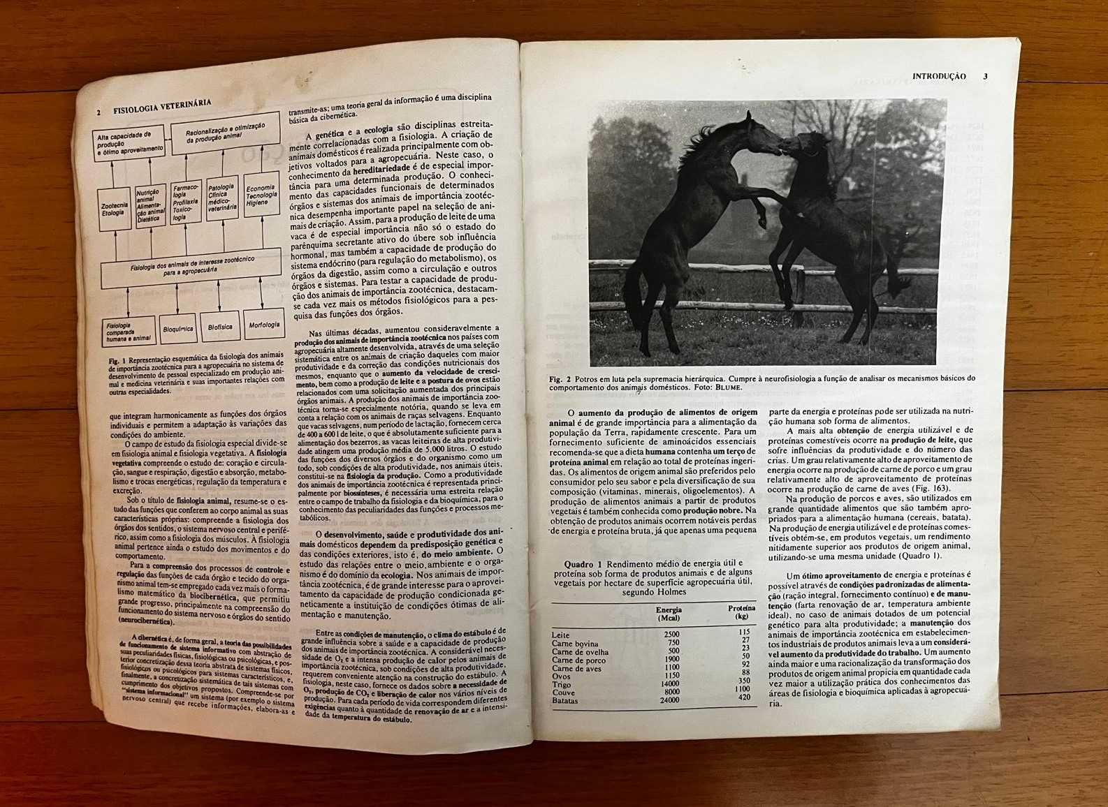 Fisiologia Veterinária