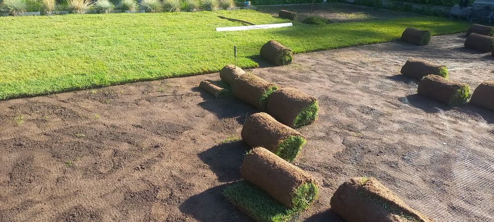 Trawa z rolki/ Trawnik w rolce/ transport/montaż