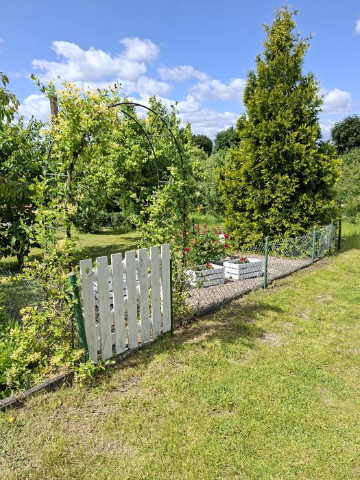 Działka ROD ,,Tulipan" 440 m²