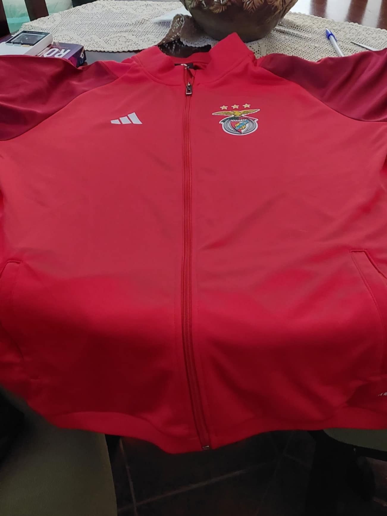 Fato treino Benfica