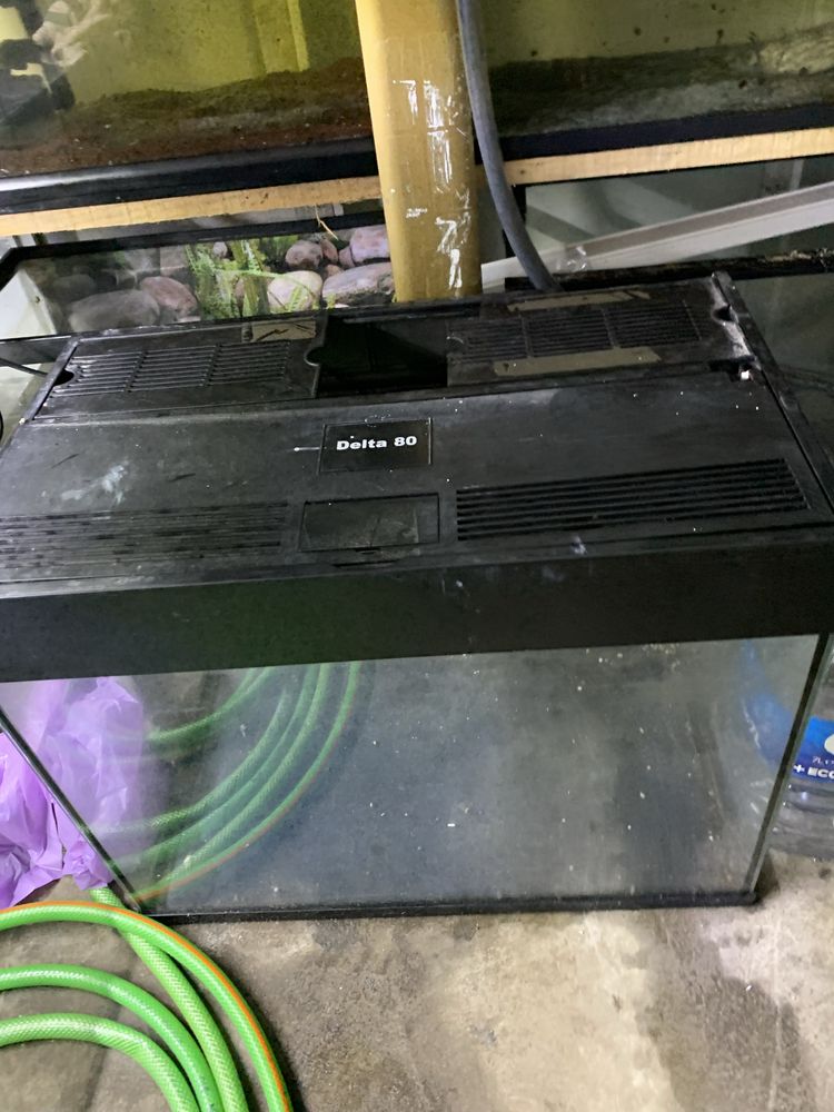 Disponivel aquario Delta  com tampa
