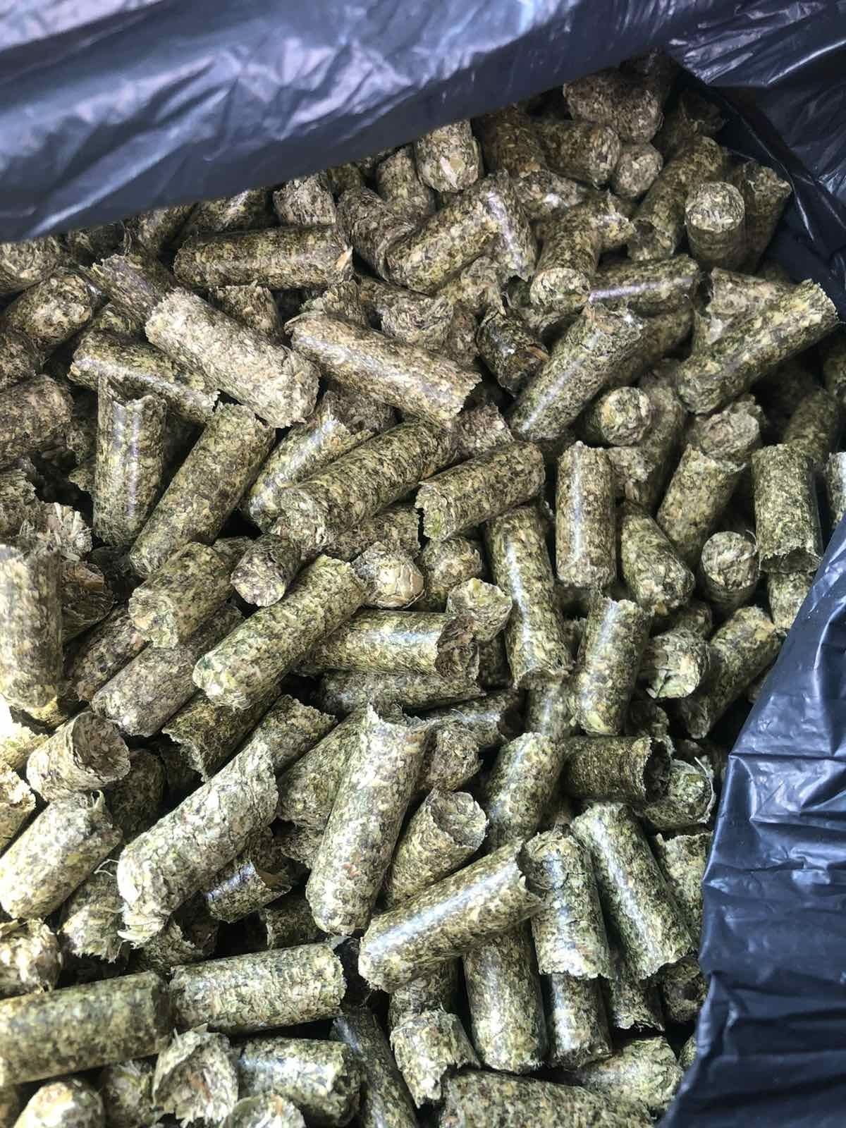 Lucerna granulowana dostawa