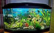 Sprzedam akwarium 120l z szafką i filtrem