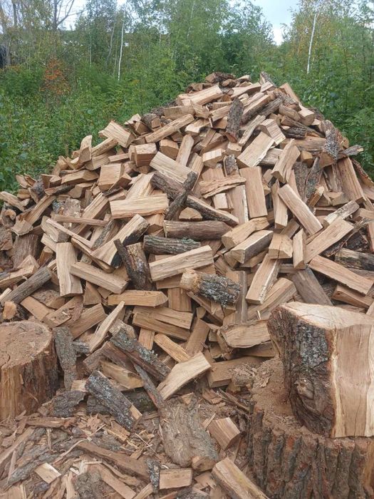 Продам дрова рубані твердих порід