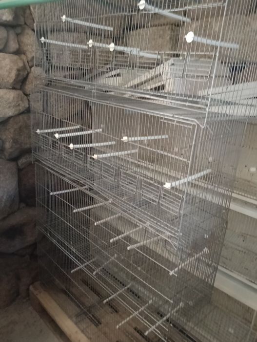 Viveiros de canários