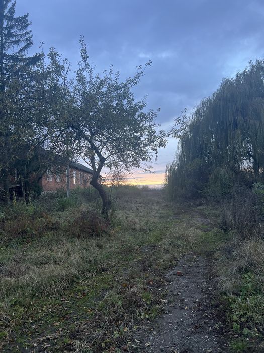 Свиноферма ( цілісний майновий комплекс ) 2700 кв м