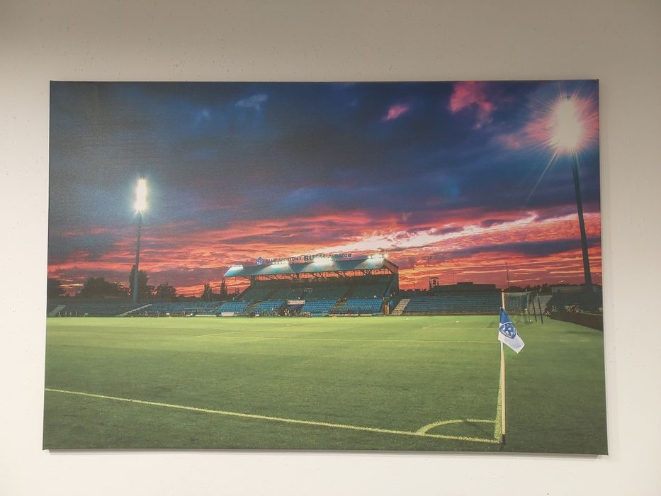 Obraz drukowany stadion Ruch Chorzów