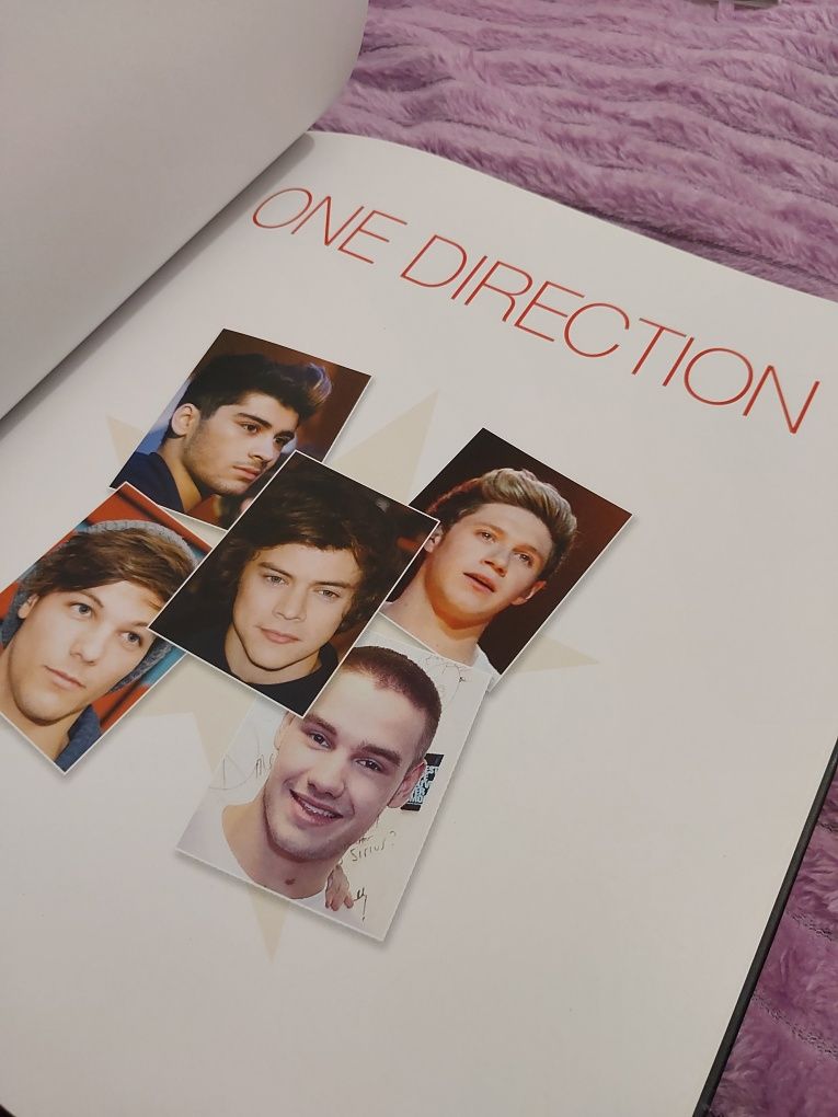 One direction nieoficjalna biografia