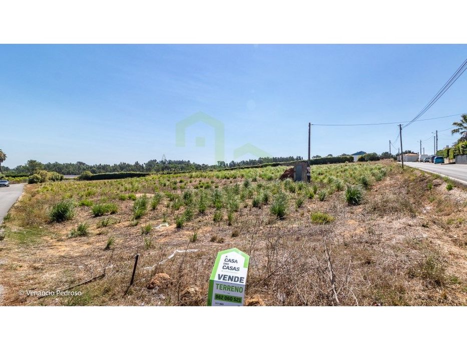 Terreno - Ericeira 4 km, A Casa das Casas