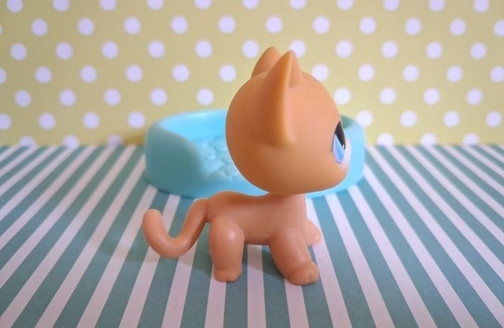 Littlest Pet Shop LPS unikatowy kot Shorthair #71 pop