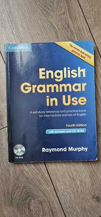 English grammar in use fourth edition Cambridge