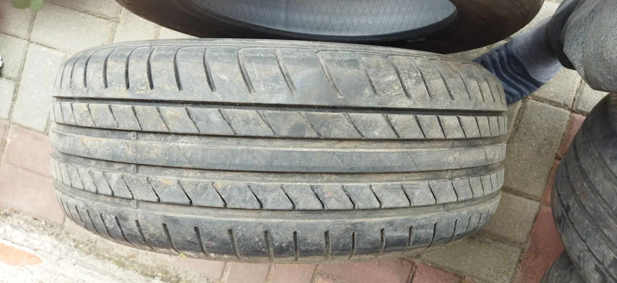 Opony Dunlop 205/55/r16 letnie