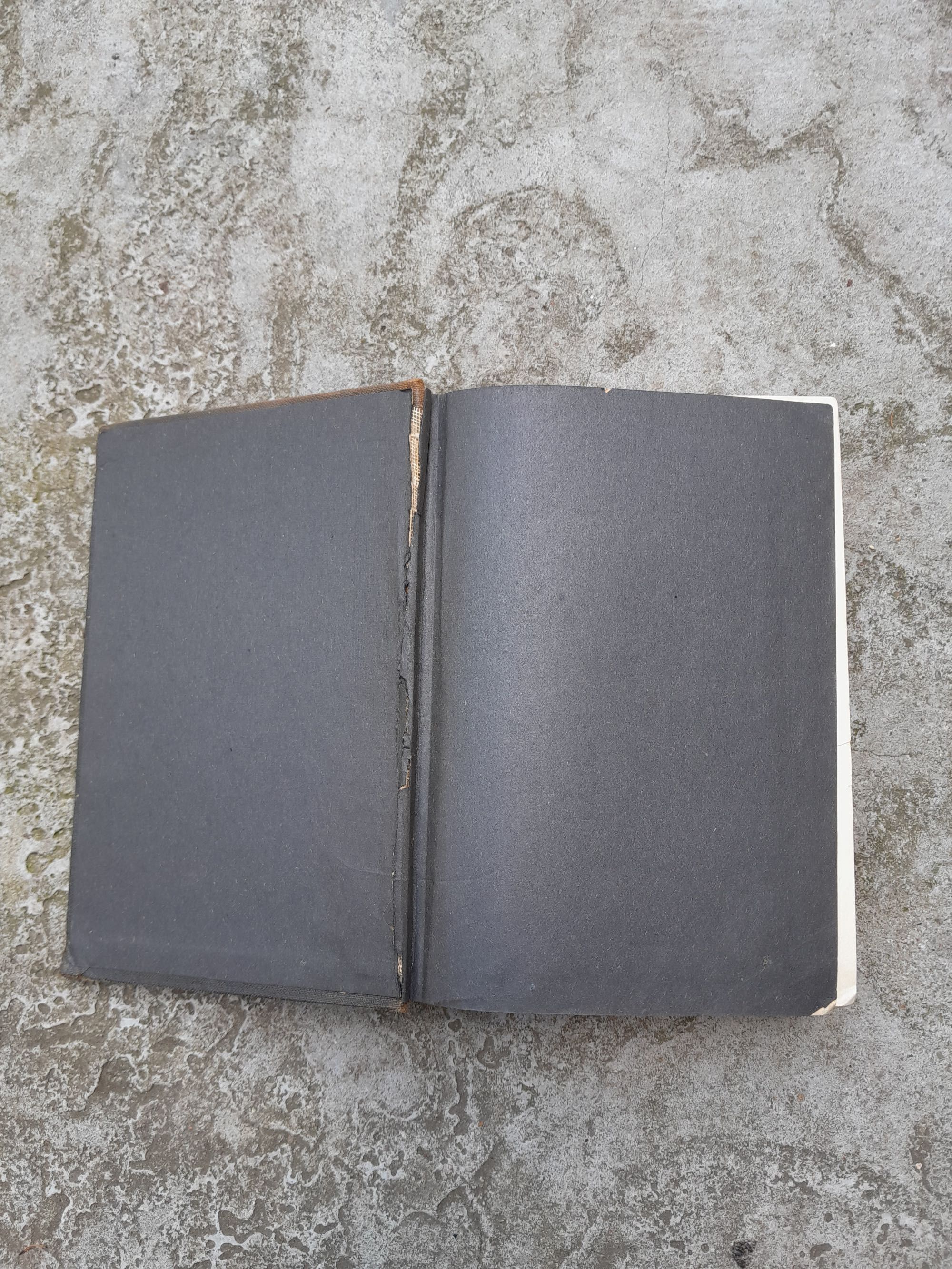 Biblija Święta, to jest wszystko pismo święte [Bez roku wydania]