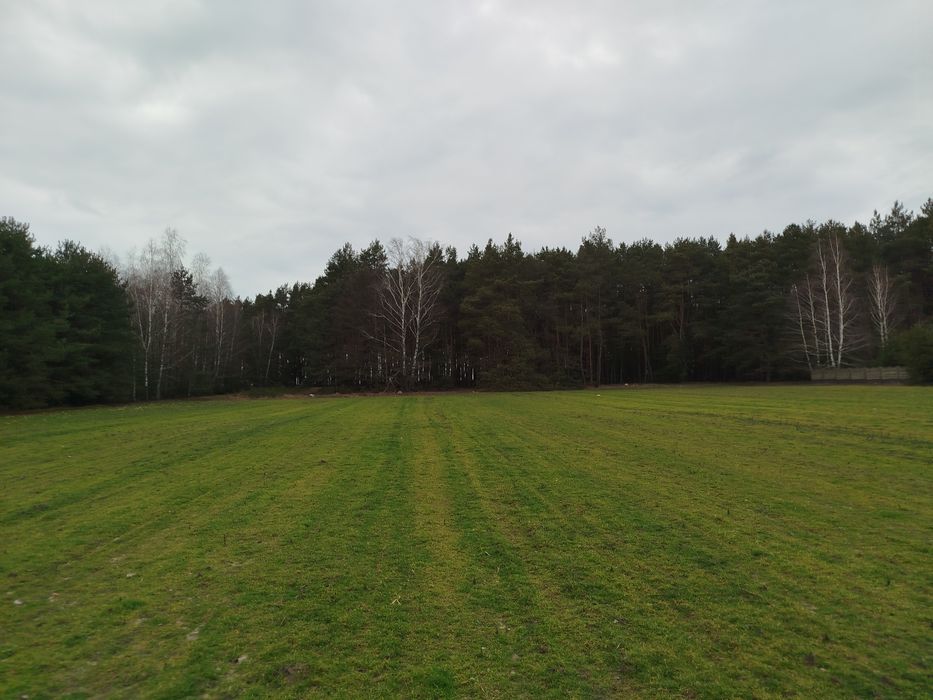 2,17 ha na sprzedaż z lasem 80-letnim,Roszkowa Wola