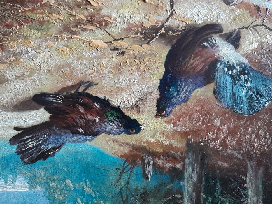 Myślistwo, tok cietrzewi.