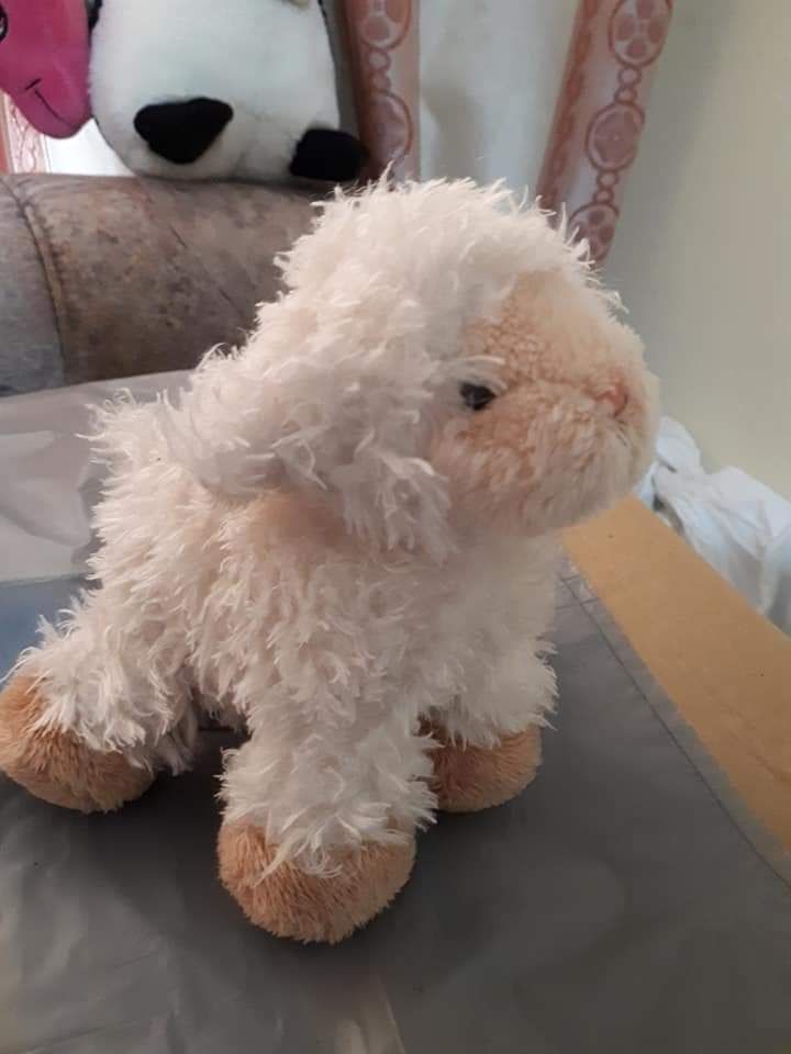 Peluches pequenos