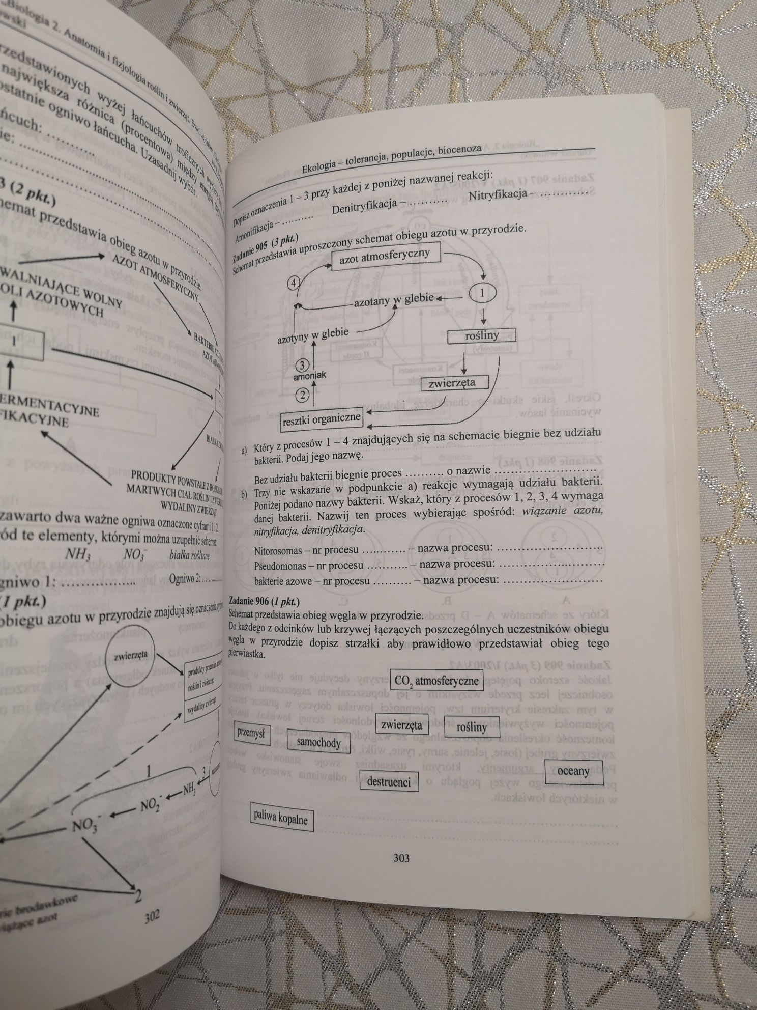 Biologia Witowskiego cz. 2