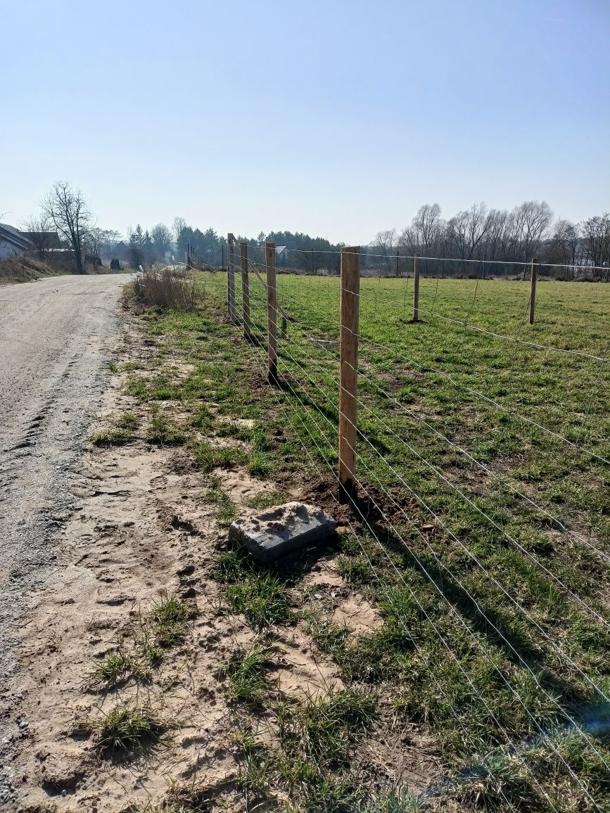 Ogrodzenie Leśne Ogrodzenie Tymczasowe Budowlane