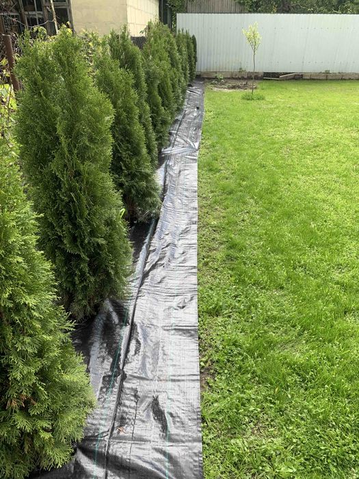 Виконую садові послуги, планування під газон,покос газона,скарифікація