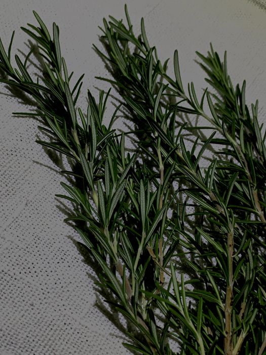 Розмарин свіжий (Італія), безкоштовна доставка