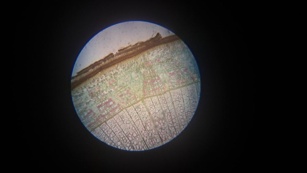 3 Микроскопа УШМ-1