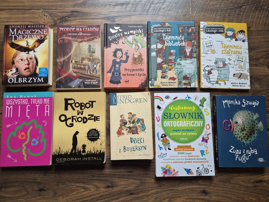 Ksiazka idealny stan