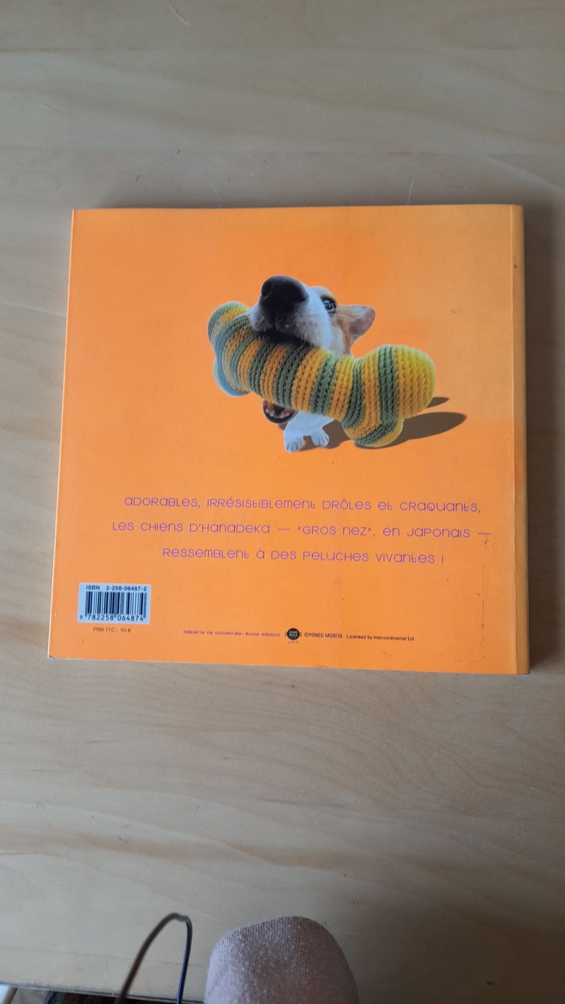 Le livre des grosses truffes - Yoneo Morita