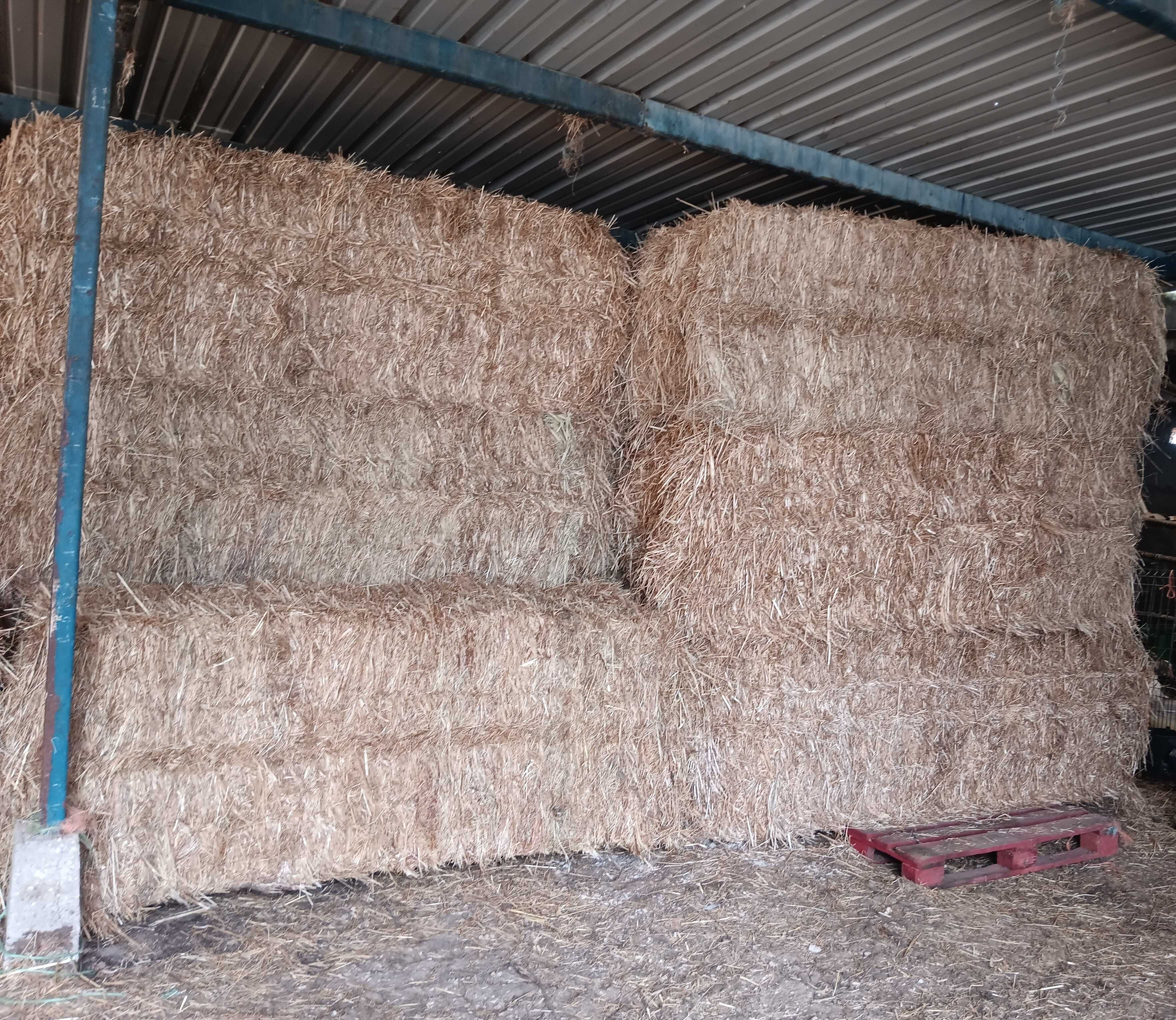 Feno Azevém 45€ 330kg