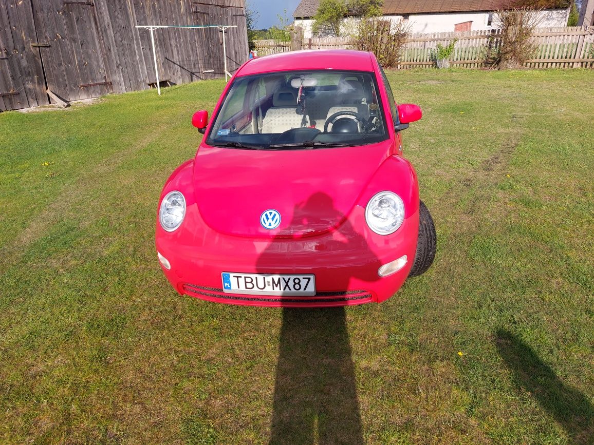 Vw new Beetle 1.9tdi