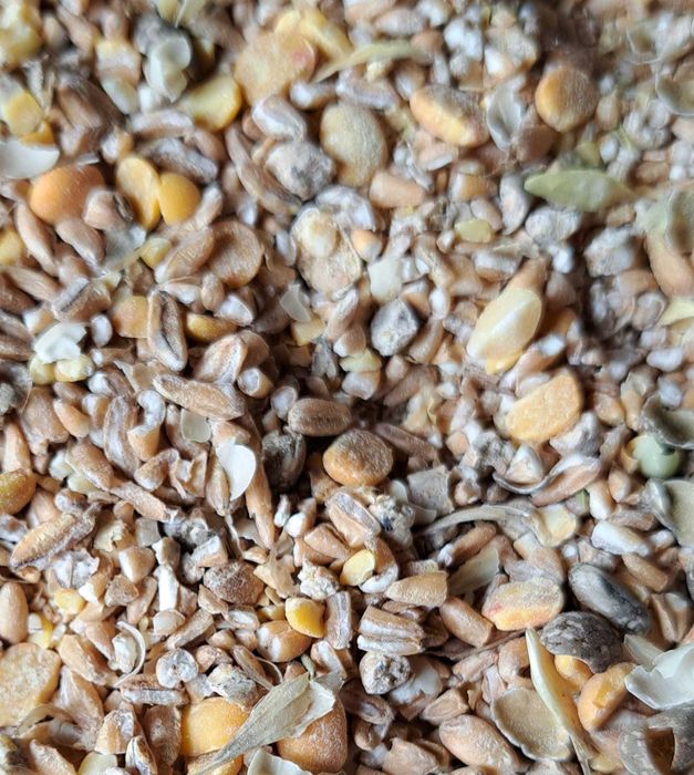 Nasiona, śruta, karma naturalna dla drobiu