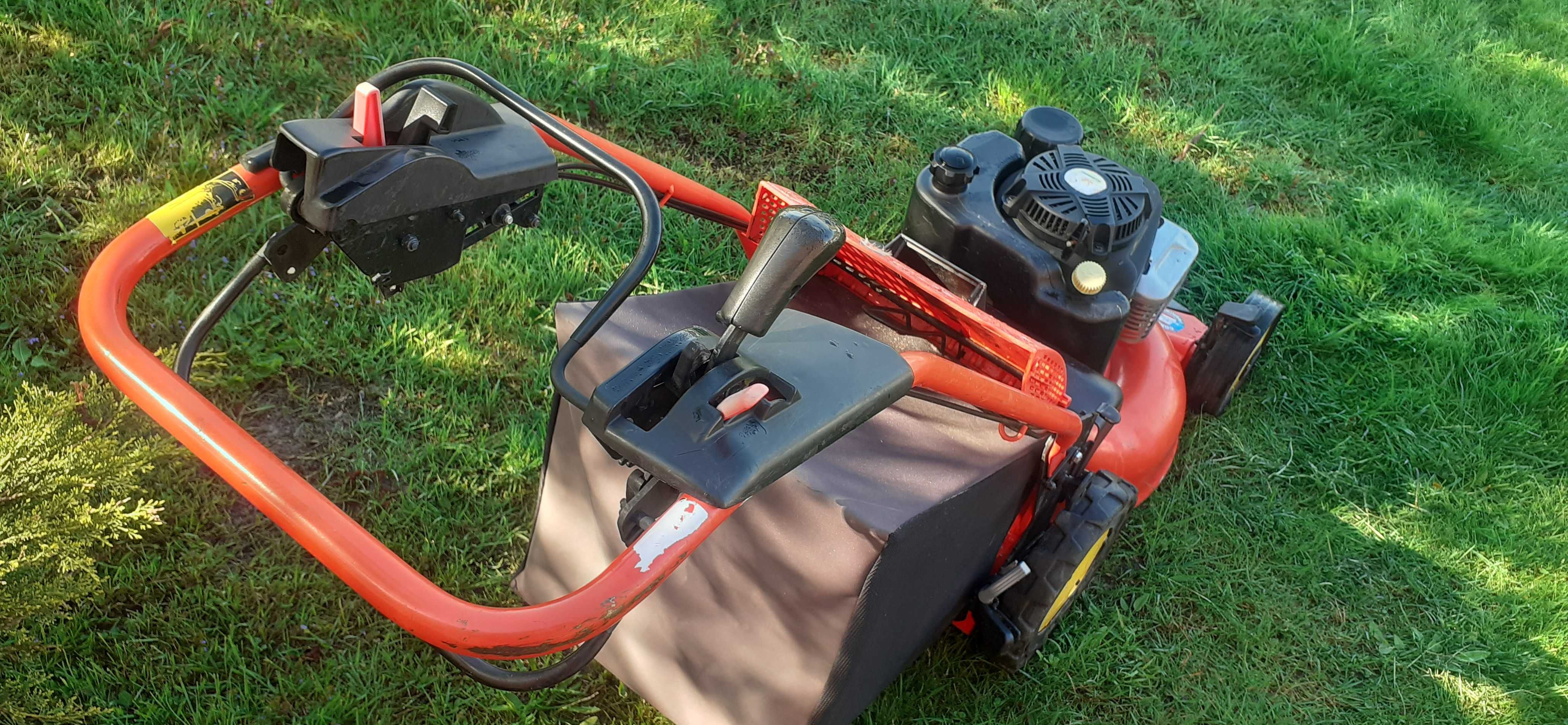 Kosiarka volf etesia profesjonalna