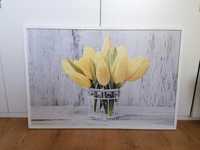 Obraz żółte tulipany biała rama ramka duży obraz 60x90 cm