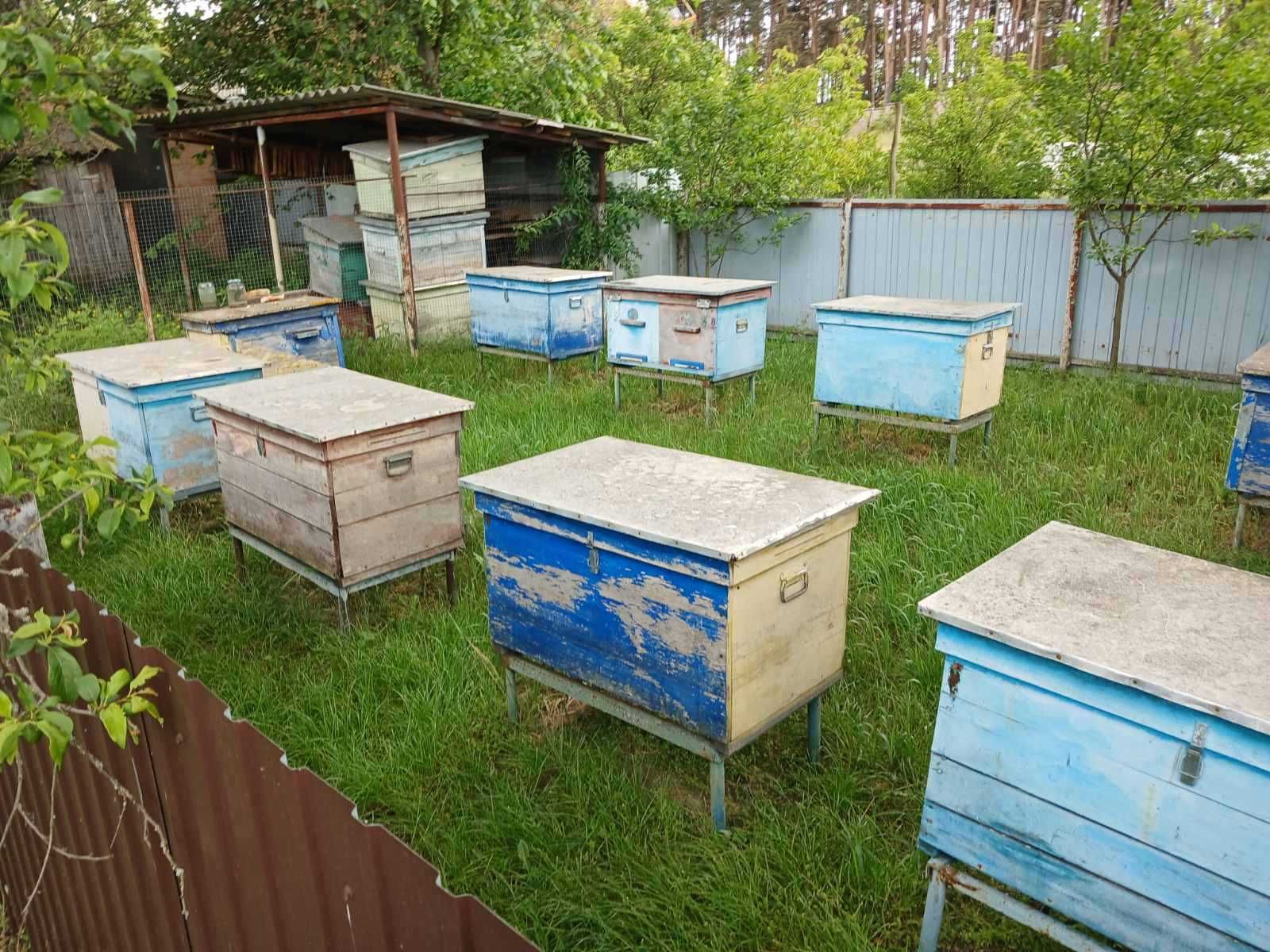 Продаж будинка с. Москаленки Київська область Богуславський район
