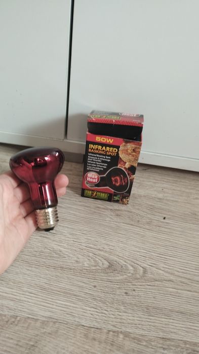 Lampa basking spot czerwona