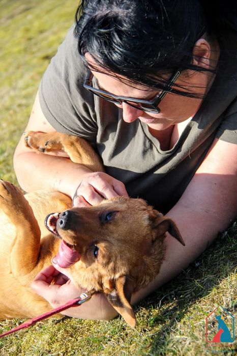 Tymon 86/24 - SZUKA DOMU!