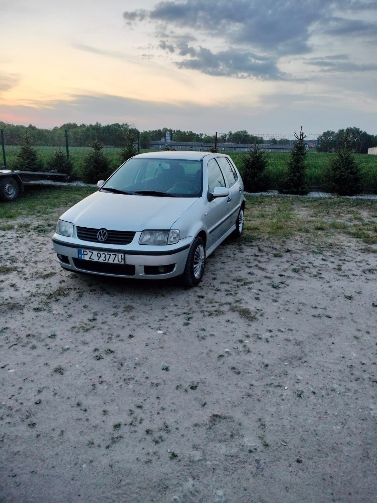 Volkswagen Polo srebrny