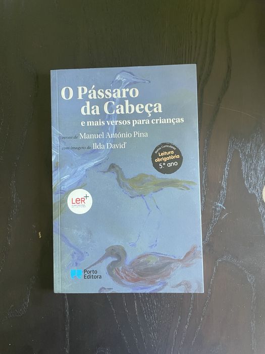 O Pássaro da Cabeça