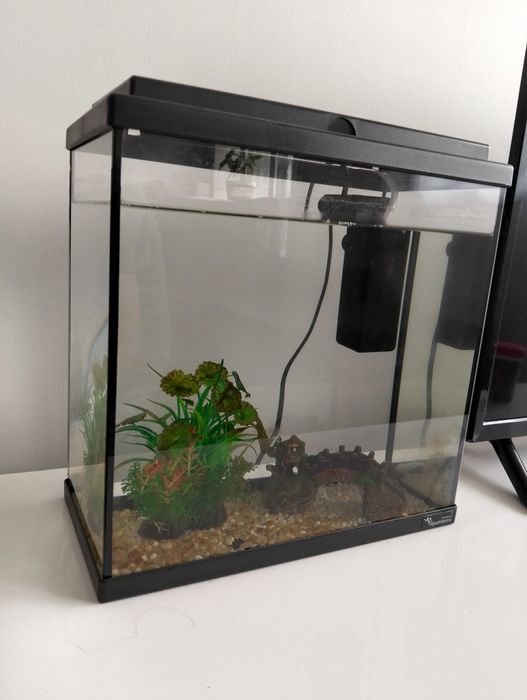 Aquário para peixes