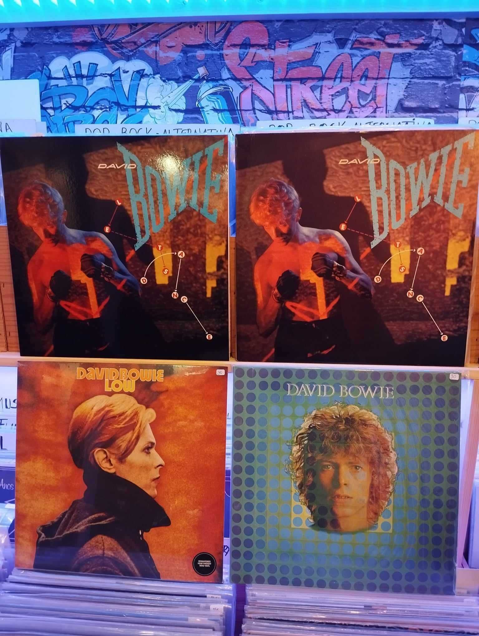 Vinil - David Bowie , Springsteen, Blondie,Bon Jovi,Clash, Anne Clarck