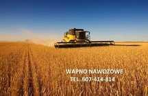 Wapno węglanowe z Kopalni Wapienia Morawica