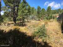 Terreno  para venda