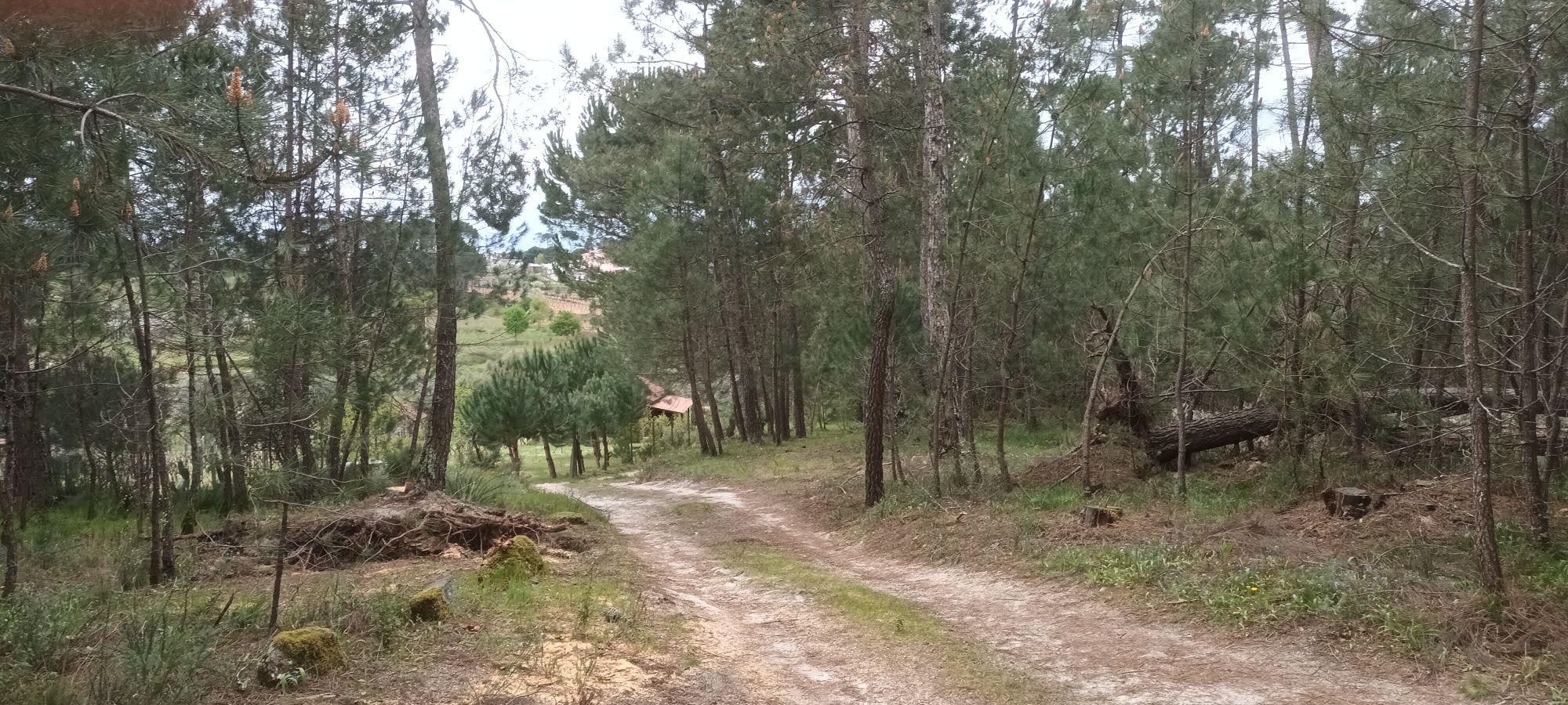 Terreno para venda