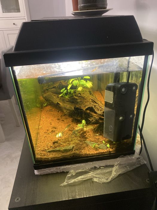 Aquário 60cm Completo