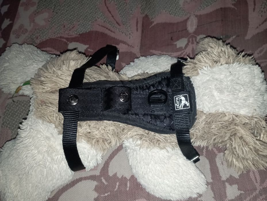 Шлейка для собак продажа или обмен