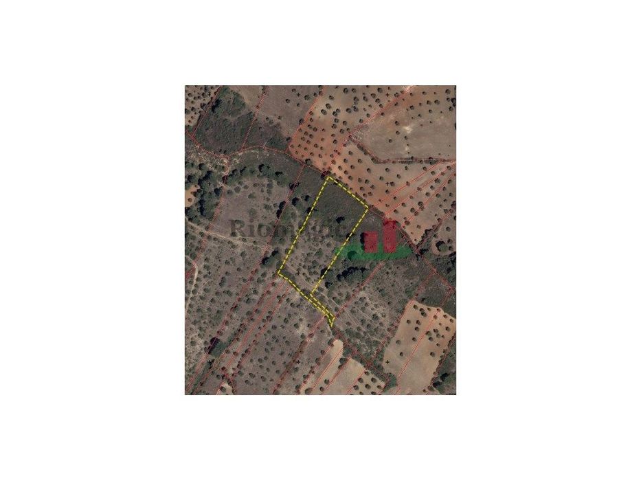 Terreno Rústico em Cabeço da Águia - Alcanena