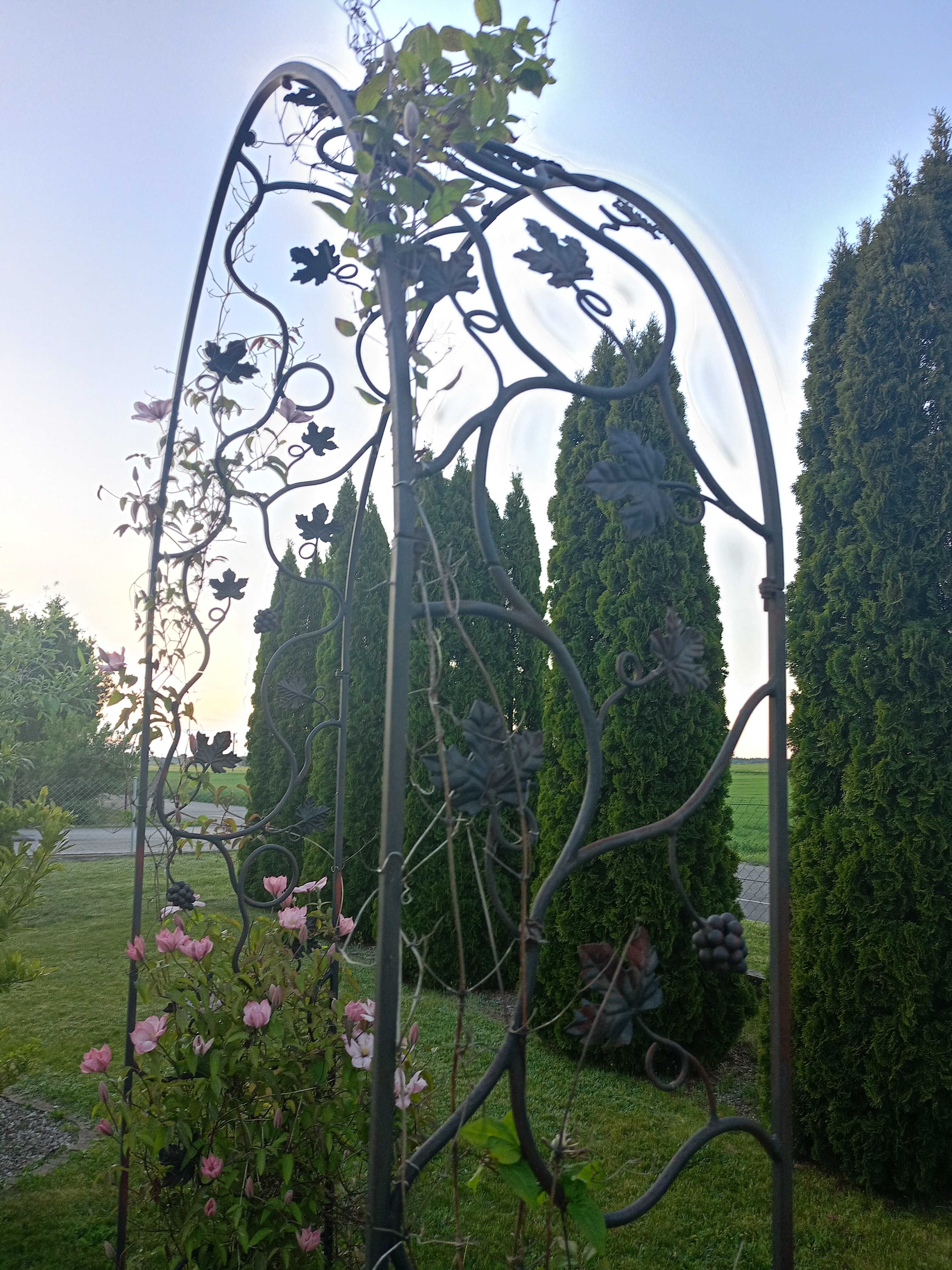 Pergola metalowa kuta do kwiatów