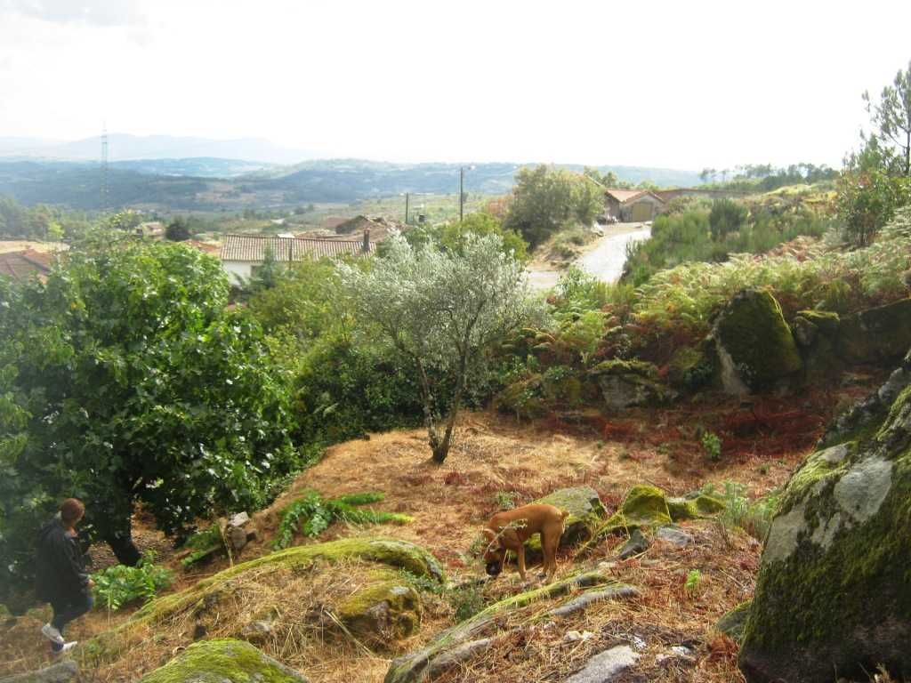 Quintinha,regiao de Valpaços
