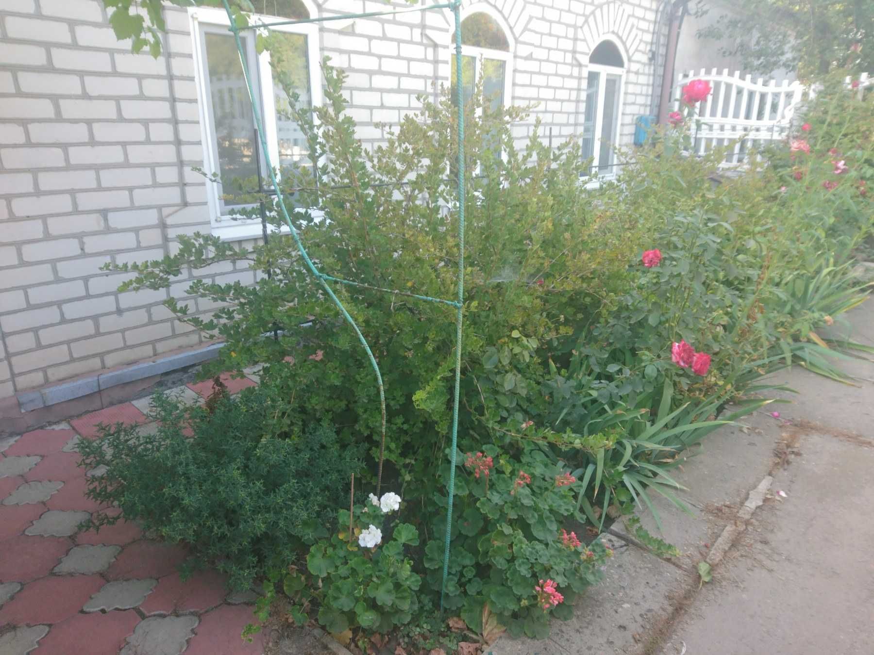 Будинок для сімейного життя